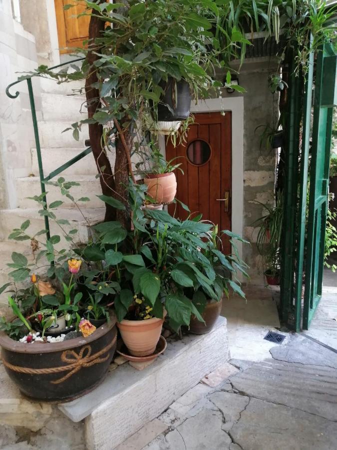 Adriana Downtown Guesthouse Split Kültér fotó