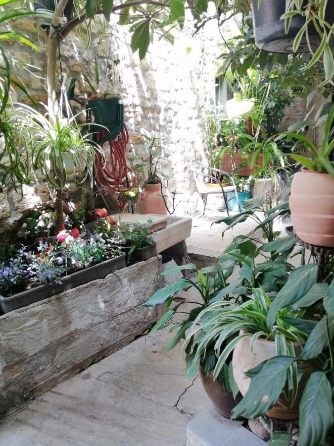 Adriana Downtown Guesthouse Split Kültér fotó